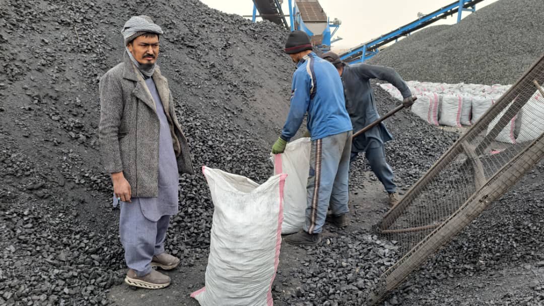 Workers preparing coal for winter relief
